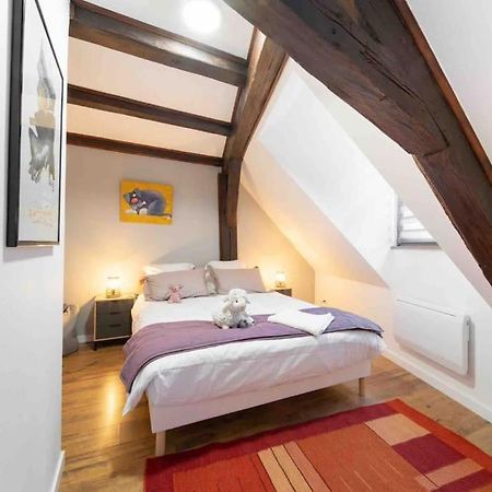 Les Lionceaux, 120M2 A Colmar, Place De Parking Gratuite 外观 照片