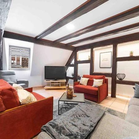 Les Lionceaux, 120M2 A Colmar, Place De Parking Gratuite 外观 照片