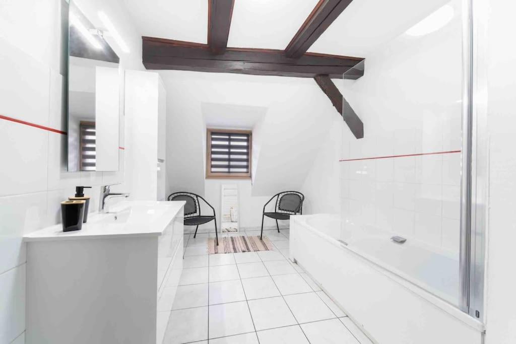 Les Lionceaux, 120M2 A Colmar, Place De Parking Gratuite 外观 照片