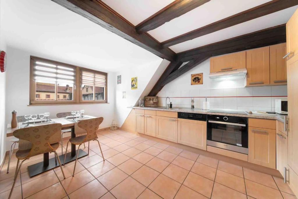 Les Lionceaux, 120M2 A Colmar, Place De Parking Gratuite 外观 照片