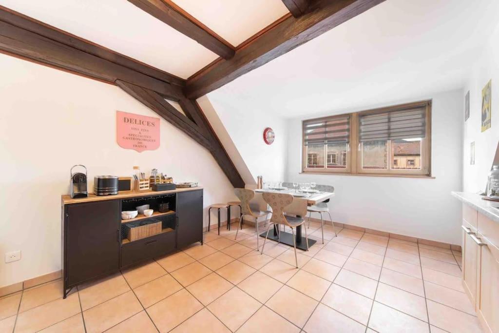 Les Lionceaux, 120M2 A Colmar, Place De Parking Gratuite 外观 照片