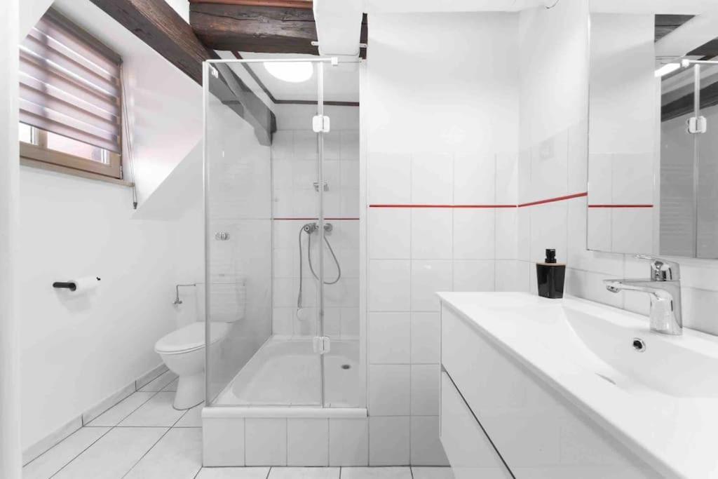 Les Lionceaux, 120M2 A Colmar, Place De Parking Gratuite 外观 照片
